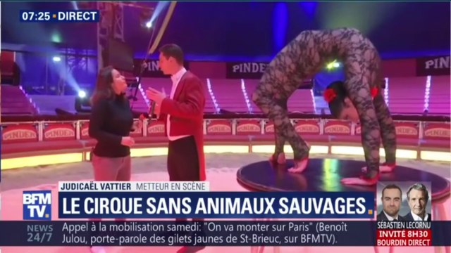 Le cirque Pinder est de retour, sans animaux sauvages