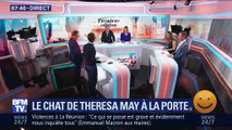 Le chat de Theresa May à la porte