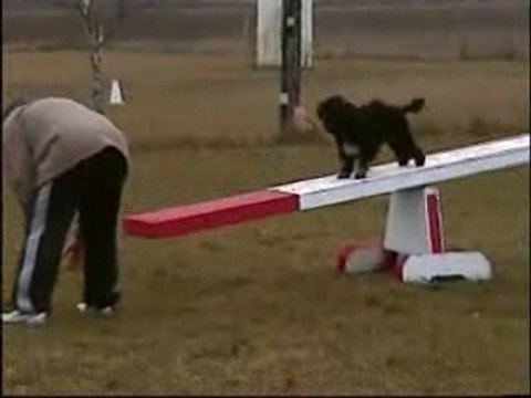 Aramis-Socrate-Utece agility 291207