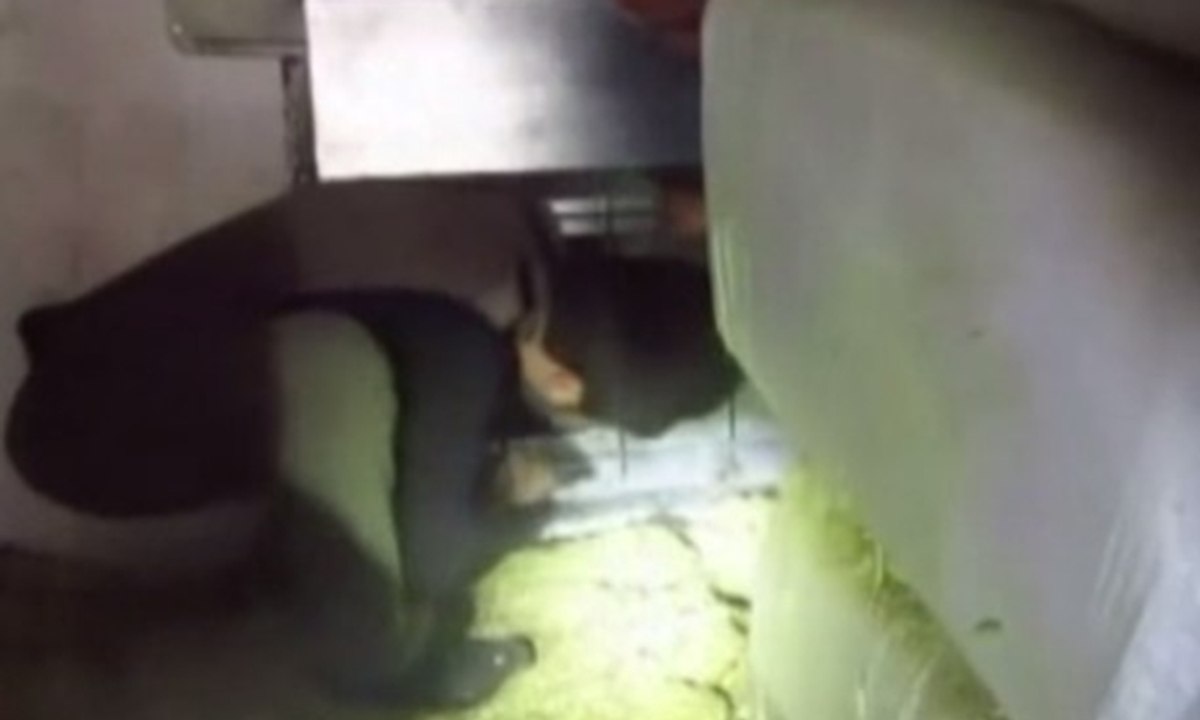 Samanlar arasında kaçak servet çıktı