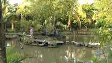 THVL - Lời sám hối – Tập 32