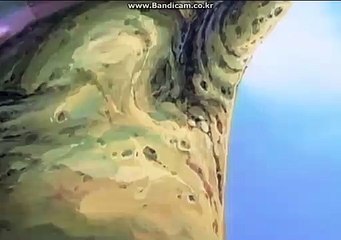 스포츠 해외 라이브 솔루션 토토 솔루션 온라인 카지노 솔루션 제작 임대