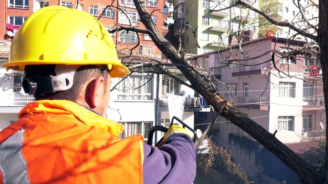 Büyükşehir'in mevsimlik budama çalışmaları devam ediyor