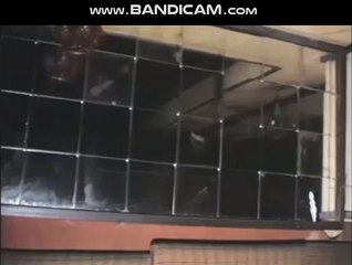 토토 솔루션 제작 임대 분양 #토토솔루션제작-#토토솔루션임대