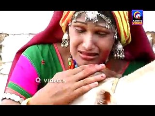 GAYATRI YADI GAYATRI BANJARA NEW QVIDEOS