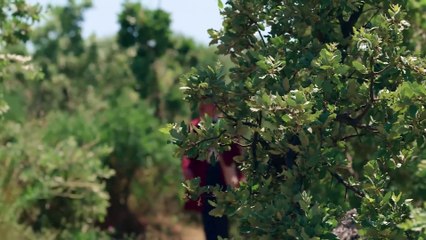 'Troya Hazineleri' beyaz perdede (2) - ANKARA