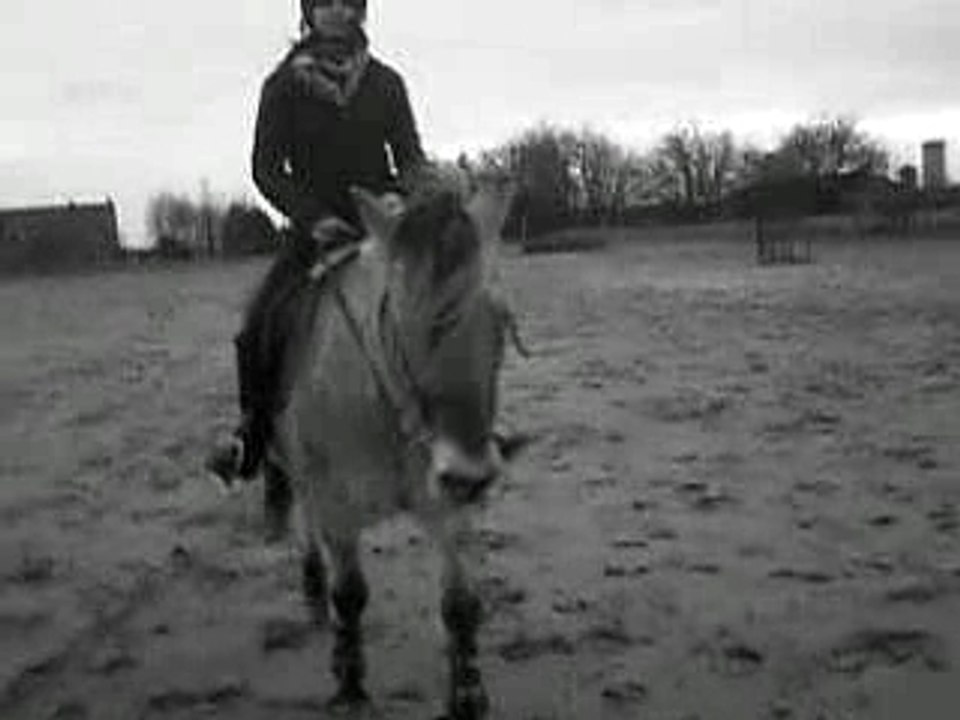 » Moi et Montana
