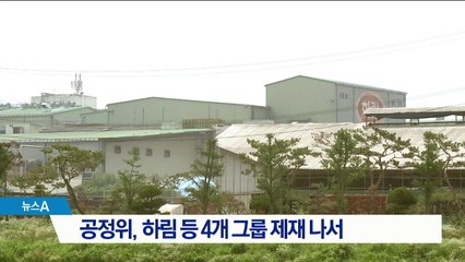 공정위, 하림 대림 태광 금호 제재 착수