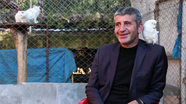 İşletmesinin bahçesinde beslediği hayvanlarla huzur buluyor - DİYARBAKIR