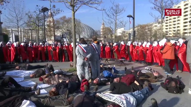 Images de la manifestation contre la fermeture de la maternité du Blanc dans l'Indre