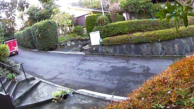 EDR November #22 2018 No Noise Occurred but a stalker appeared