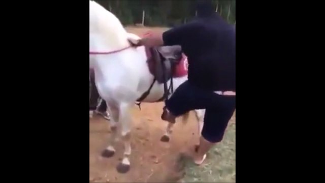 Cet homme en surpoids ne devrait pas être autorisé à monter ce pauvre cheval