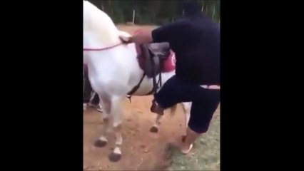 Cet homme en surpoids ne devrait pas être autorisé à monter ce pauvre cheval