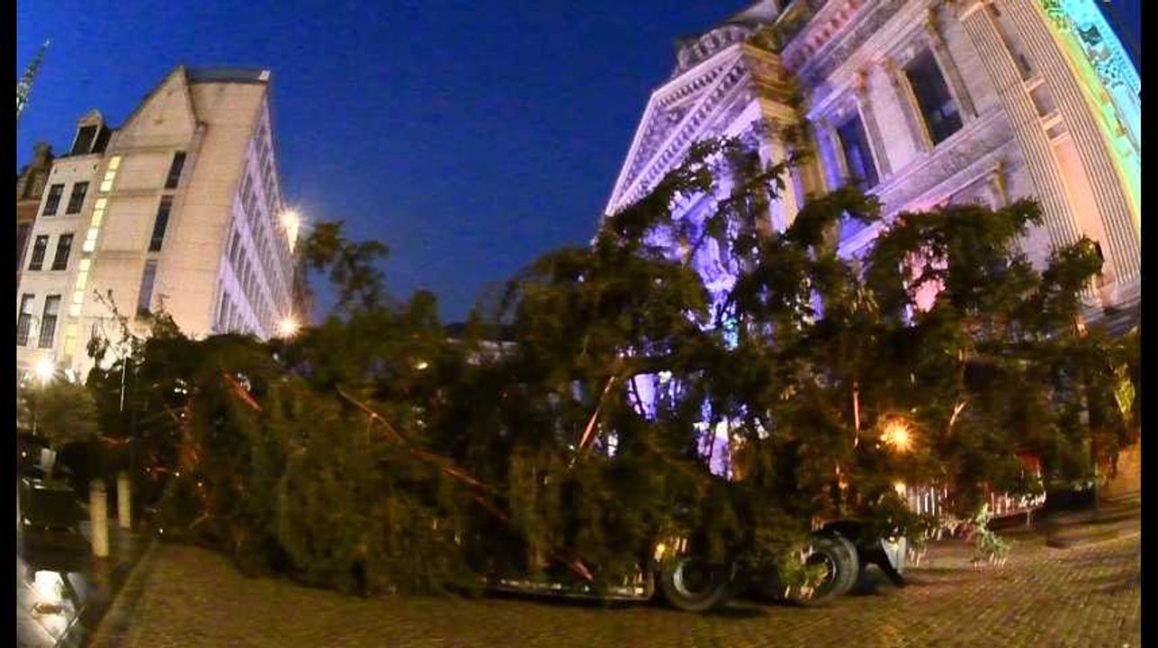 Le sapin des Plaisirs d’hiver est arrivé sur la Grand-Place de Bruxelles