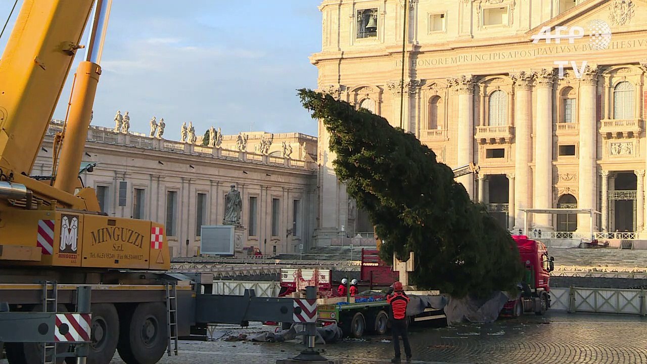 Le sapin de Noël du Vatican est arrivé place Sa...