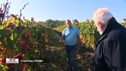 Vie de Chateau - Château Penin