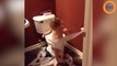 Cet enfant n'a pas bien compris comment se servir du papier toilette !