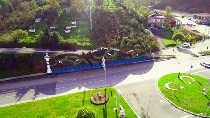 “Dikey Bahçe” çalışmaları tamamlandı