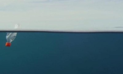 Attenborough: Gezegenimiz için hala geç değil