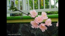 Cherry Blossom with crepe paper - Craft Tutorial