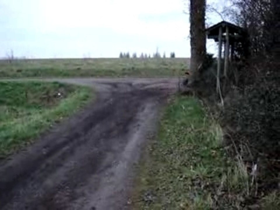 MOV00560