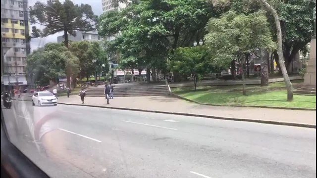 Abelhas atacam pedestres na Praça Tiradentes, em Curitiba