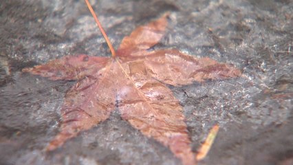 [날씨] 소설 추위 엄습...오늘 더 춥다, 서울 -4℃ / YTN