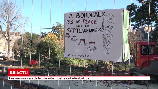 Les marronniers de la place Gambetta ont été abattus ce jeudi 22 novembre.