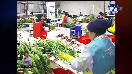 Ministro de trabajo se pronuncia sobre incremento salarial 2019