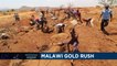 Ruée vers l'or au Malawi