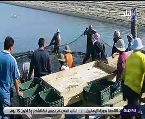 حمدى رزق يرافق العاملين ببركة غليون موسم حصاد الأسماك