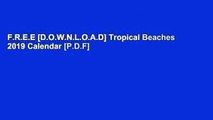 F.R.E.E [D.O.W.N.L.O.A.D] Tropical Beaches 2019 Calendar [P.D.F]