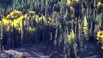 Quebec da retoques finales a sus faraónicas hidroeléctricas