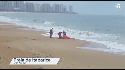 Boto morto em Vila Velha