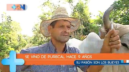 mqn-Acá-no-hay-uber-ni-taxis-ni-nada,-solo-bueyes-y-bien-fuerte-211118