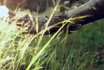 인터넷릴게임, 인터넷바다릴게임 ๑Ő CSN80 쩜 C오엠 ๑Ő 온라인릴게임