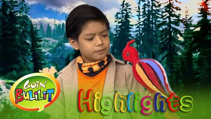 Goin' Bulilit: Amazing Bert presents Cute Bird
