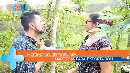 +QN 22 Noviembre 2018