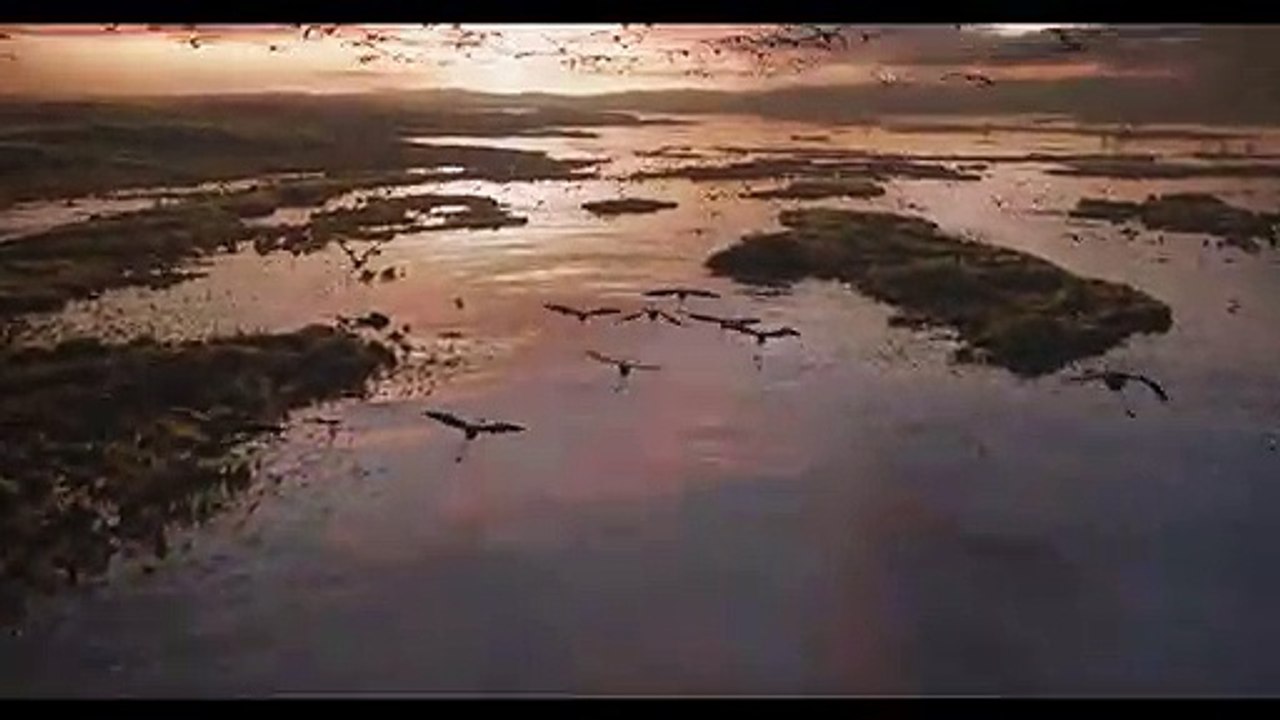 The Lion King - Trailer