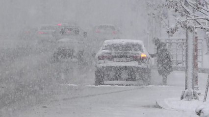 [날씨] 서울 역대 최대 '첫눈'...내일 맑고 추위 누그러져 / YTN