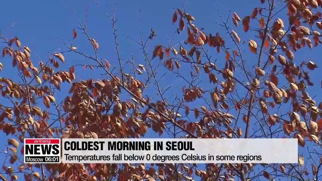 -3.1 degrees Celsius, the coldest morning of this year's fall