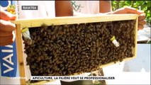 Apiculture : du rififi dans les ruches