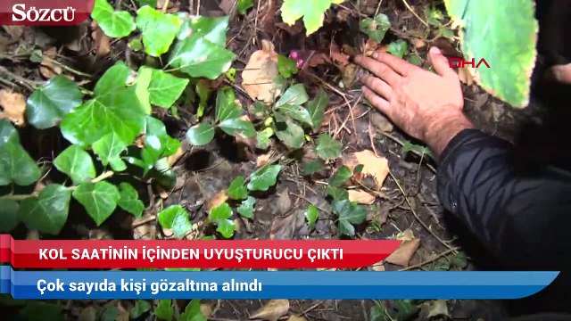 İstanbul’da uyuşturucu operasyonu! Çok sayıda gözaltı var