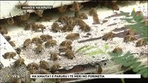 TH : Apiculture : du rififi dans les ruches