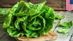 CDC suggests all of America should avoid romaine lettuce