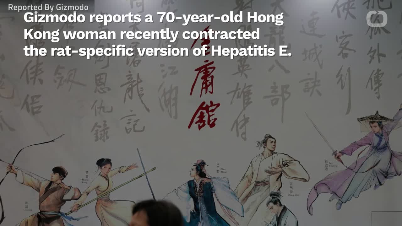 Rat Hepatitis In A Human Rears Ugly Head In Hong Kong--For The Second Time