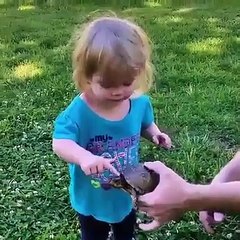 Duck is chasing child on doing his funny act