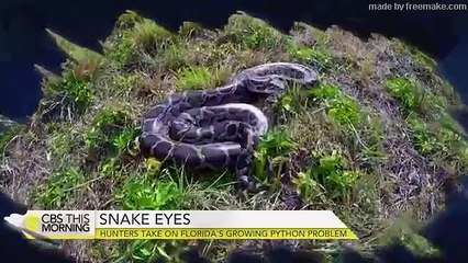 6 MAIORES COBRAS já encontradas