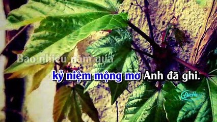 Về Quê Ngoại Karaoke - Tone Nam l Beat Nhạc Sống l Đức Hải Karaoke
