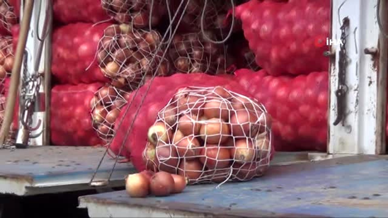 Soğan Stokçuları ve Soğandaki Mantar Hastalığı Esnafı da Olumsuz Etkiledi